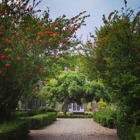 Chateau De Floure - Et Piscine Exterieure Chauffee 別荘 *