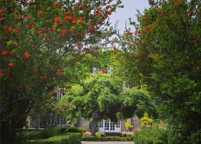 Chateau De Floure - Et Piscine Exterieure Chauffee Holiday home *