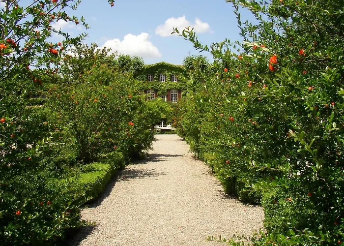 別荘 Chateau De Floure - Et Piscine Exterieure Chauffee *